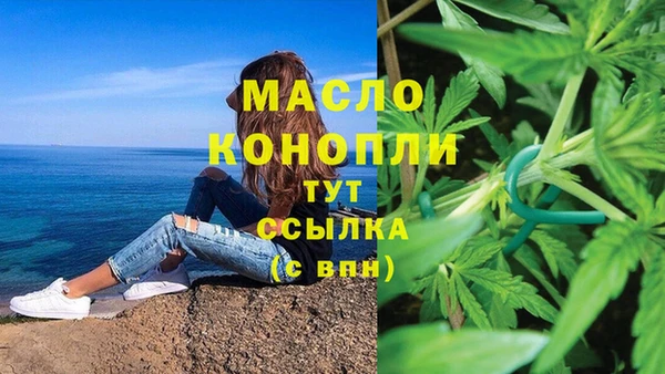 гидра Михайловск
