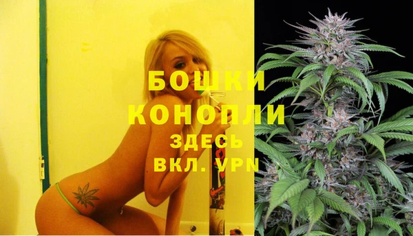 спиды Михайловка
