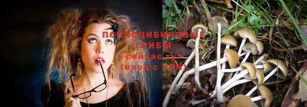 ешки Наволоки